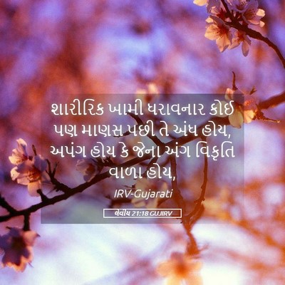 Picture 05 - લેવીય 21:18 GUJIRV - શારીરિક ખામી - Bible Verse Picture