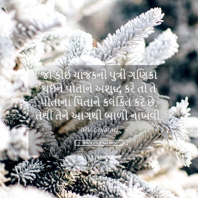 Picture 05 - લેવીય 21:9 GUJIRV - જો કોઈ યાજકની - Bible Verse Picture