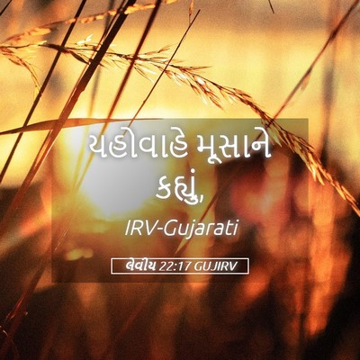 Picture 05 - લેવીય 22:17 GUJIRV - યહોવાહે મૂસાને - Bible Verse Picture