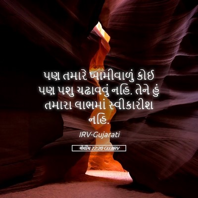 Picture 05 - લેવીય 22:20 GUJIRV - પણ તમારે - Bible Verse Picture