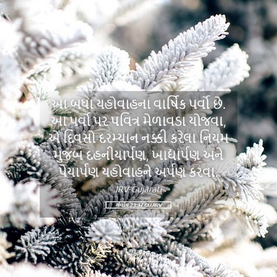 Picture 05 - લેવીય 23:37 GUJIRV - આ બધા યહોવાહના - Bible Verse Picture