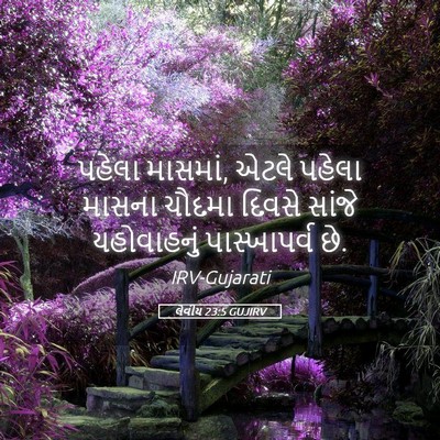 Picture 05 - લેવીય 23:5 GUJIRV - પહેલા માસમાં, એટલે - Bible Verse Picture