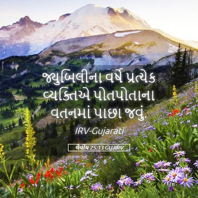 Picture 05 - લેવીય 25:13 GUJIRV - જ્યુબિલીના વર્ષે - Bible Verse Picture