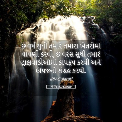 Picture 05 - લેવીય 25:3 GUJIRV - છ વર્ષ સુધી તમારે - Bible Verse Picture