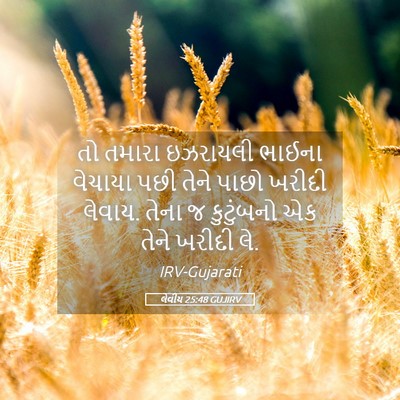 Picture 05 - લેવીય 25:48 GUJIRV - તો તમારા ઇઝરાયલી - Bible Verse Picture