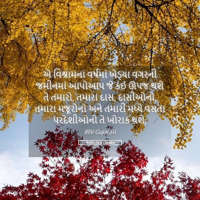 Picture 05 - લેવીય 25:6 GUJIRV - એ વિશ્રામના - Bible Verse Picture