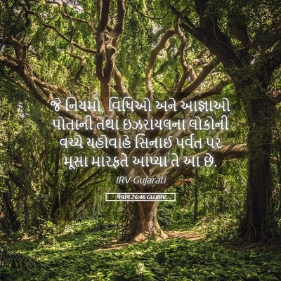 Picture 05 - લેવીય 26:46 GUJIRV - જે નિયમો, વિધિઓ અને - Bible Verse Picture