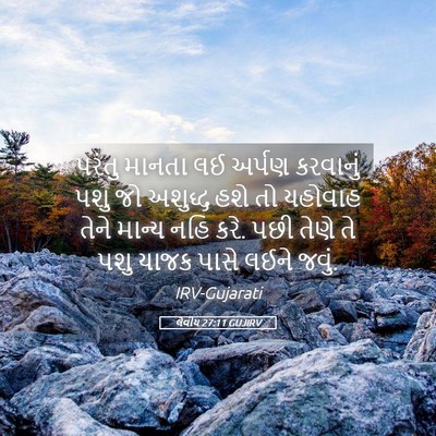 Picture 05 - લેવીય 27:11 GUJIRV - પરંતુ માનતા લઈ - Bible Verse Picture