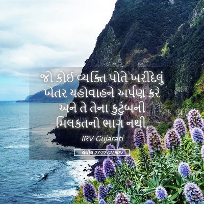 Picture 05 - લેવીય 27:22 GUJIRV - જો કોઈ વ્યક્તિ - Bible Verse Picture