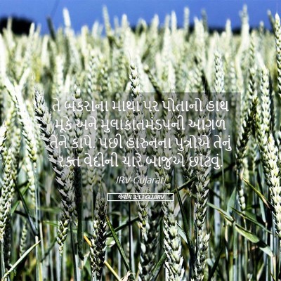 Picture 05 - લેવીય 3:13 GUJIRV - તે બકરાના માથા પર - Bible Verse Picture