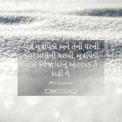 Picture 05 - લેવીય 3:15 GUJIRV - બન્ને મૂત્રપિંડો - Bible Verse Picture