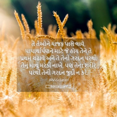 Picture 05 - લેવીય 5:8 GUJIRV - તે તેઓને યાજક પાસે - Bible Verse Picture