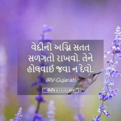 Picture 05 - લેવીય 6:13 GUJIRV - વેદીનો અગ્નિ સતત - Bible Verse Picture