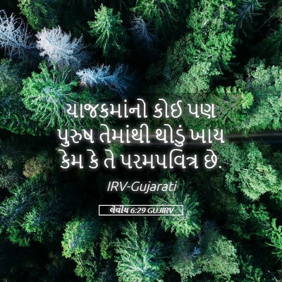 Picture 05 - લેવીય 6:29 GUJIRV - યાજકમાંનો કોઈ પણ - Bible Verse Picture