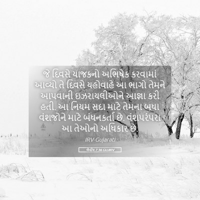 Picture 05 - લેવીય 7:36 GUJIRV - જે દિવસે યાજકનો - Bible Verse Picture