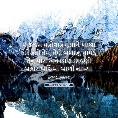 Picture 05 - લેવીય 8:17 GUJIRV - પણ જેમ યહોવાહે - Bible Verse Picture