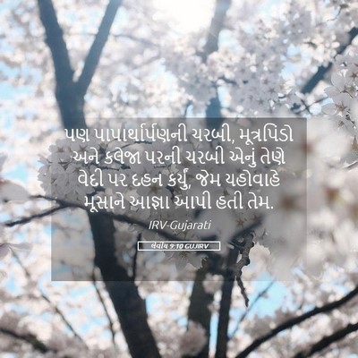 Picture 05 - લેવીય 9:10 GUJIRV - પણ પાપાર્થાર્પણની - Bible Verse Picture