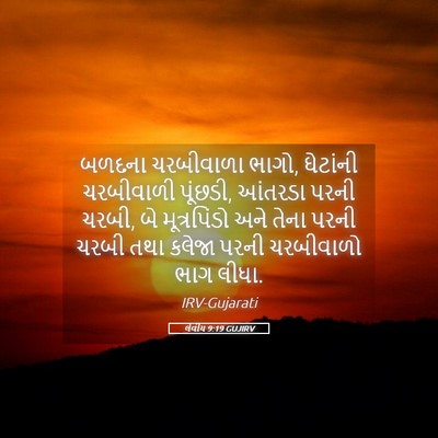 Picture 05 - લેવીય 9:19 GUJIRV - બળદના ચરબીવાળા - Bible Verse Picture