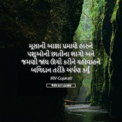Picture 05 - લેવીય 9:21 GUJIRV - મૂસાની આજ્ઞા - Bible Verse Picture