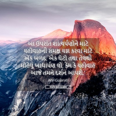 Picture 05 - લેવીય 9:4 GUJIRV - આ ઉપરાંત - Bible Verse Picture