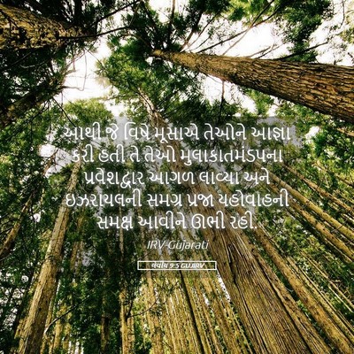 Picture 05 - લેવીય 9:5 GUJIRV - આથી જે વિષે મૂસાએ - Bible Verse Picture