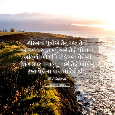 Picture 05 - લેવીય 9:9 GUJIRV - હારુનના પુત્રોએ - Bible Verse Picture