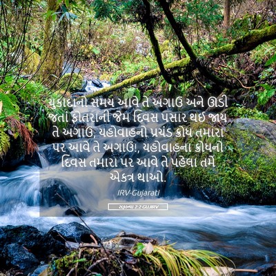 Picture 05 - સફાન્યા 2:2 GUJIRV - ચુકાદાનો સમય આવે - Bible Verse Picture