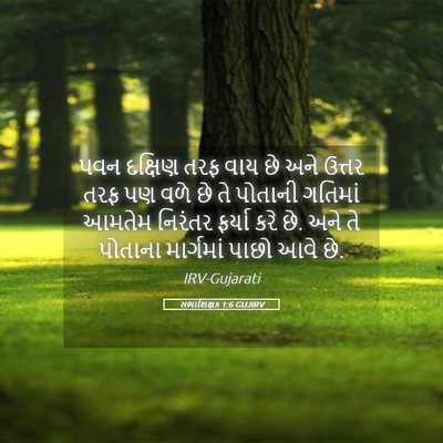 Picture 05 - સભાશિક્ષક 1:6 GUJIRV - પવન દક્ષિણ તરફ વાય - Bible Verse Picture