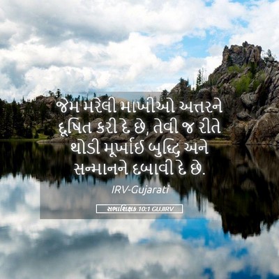 Picture 05 - સભાશિક્ષક 10:1 GUJIRV - જેમ મરેલી માખીઓ - Bible Verse Picture