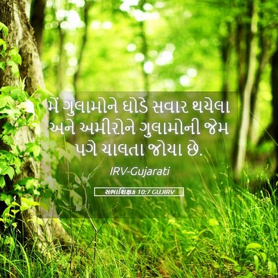 Picture 05 - સભાશિક્ષક 10:7 GUJIRV - મેં ગુલામોને ઘોડે - Bible Verse Picture