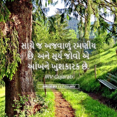 Picture 05 - સભાશિક્ષક 11:7 GUJIRV - સાચે જ અજવાળું - Bible Verse Picture