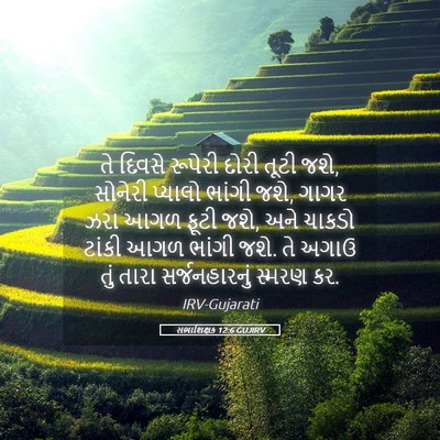 Picture 05 - સભાશિક્ષક 12:6 GUJIRV - તે દિવસે રૂપેરી - Bible Verse Picture