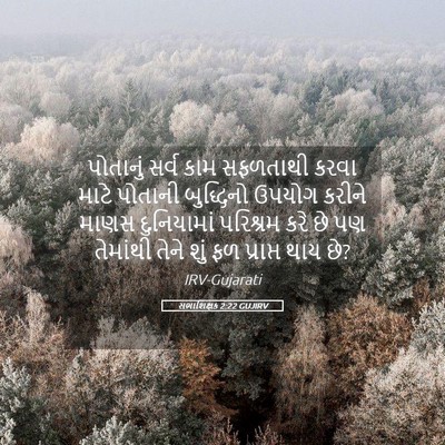 Picture 05 - સભાશિક્ષક 2:22 GUJIRV - પોતાનું સર્વ કામ - Bible Verse Picture