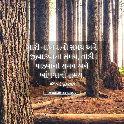 Picture 05 - સભાશિક્ષક 3:3 GUJIRV - મારી નાખવાનો સમય - Bible Verse Picture
