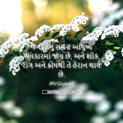 Picture 05 - સભાશિક્ષક 5:17 GUJIRV - વળી તેનું સમગ્ર - Bible Verse Picture