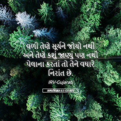 Picture 05 - સભાશિક્ષક 6:5 GUJIRV - વળી તેણે સૂર્યને - Bible Verse Picture