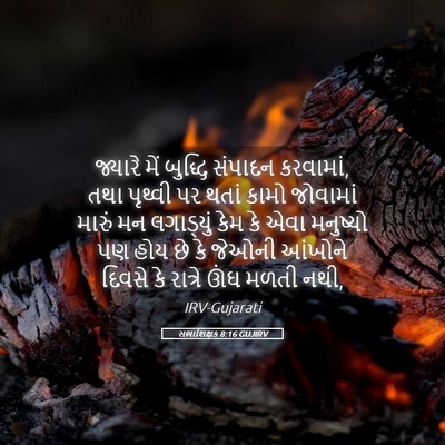 Picture 05 - સભાશિક્ષક 8:16 GUJIRV - જ્યારે મેં બુદ્ધિ - Bible Verse Picture