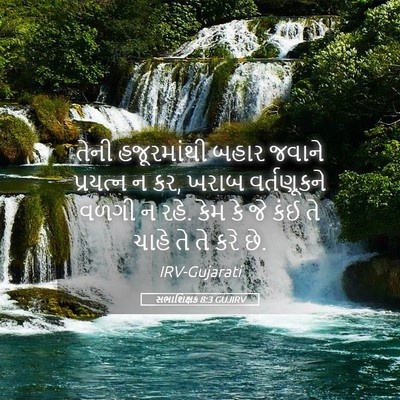 Picture 05 - સભાશિક્ષક 8:3 GUJIRV - તેની હજૂરમાંથી - Bible Verse Picture