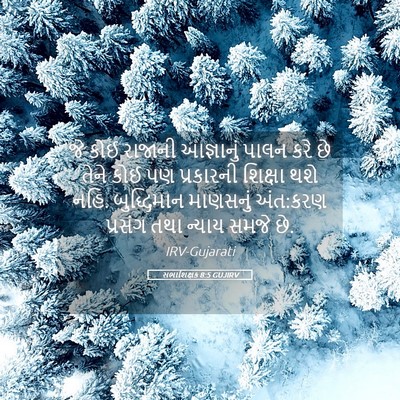Picture 05 - સભાશિક્ષક 8:5 GUJIRV - જે કોઈ રાજાની - Bible Verse Picture