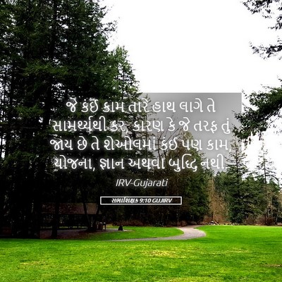 Picture 05 - સભાશિક્ષક 9:10 GUJIRV - જે કંઈ કામ તારે હાથ - Bible Verse Picture