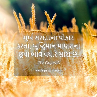 Picture 05 - સભાશિક્ષક 9:17 GUJIRV - મૂર્ખ સરદારના - Bible Verse Picture