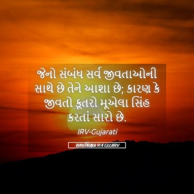 Picture 05 - સભાશિક્ષક 9:4 GUJIRV - જેનો સંબંધ સર્વ - Bible Verse Picture