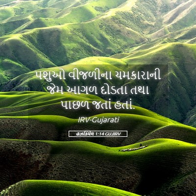 Picture 05 - હઝકિયેલ 1:14 GUJIRV - પશુઓ વીજળીના - Bible Verse Picture