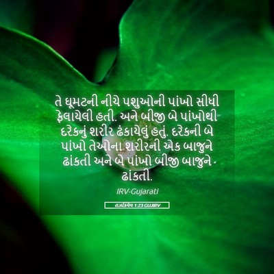 Picture 05 - હઝકિયેલ 1:23 GUJIRV - તે ઘૂમટની નીચે - Bible Verse Picture