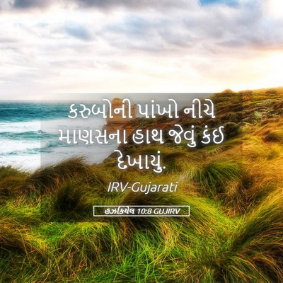 Picture 05 - હઝકિયેલ 10:8 GUJIRV - કરુબોની પાંખો - Bible Verse Picture