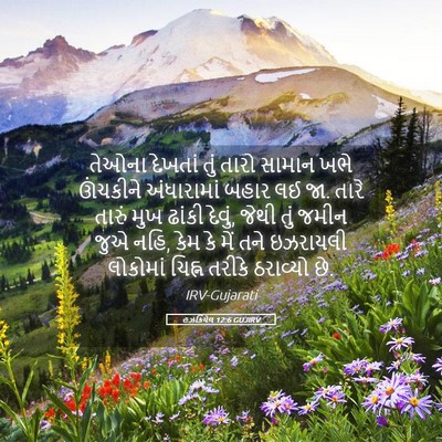 Picture 05 - હઝકિયેલ 12:6 GUJIRV - તેઓના દેખતાં તું - Bible Verse Picture
