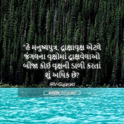 Picture 05 - હઝકિયેલ 15:2 GUJIRV - “હે મનુષ્યપુત્ર, - Bible Verse Picture