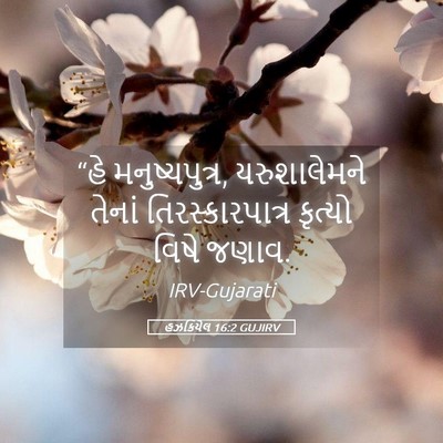 Picture 05 - હઝકિયેલ 16:2 GUJIRV - “હે મનુષ્યપુત્ર, - Bible Verse Picture