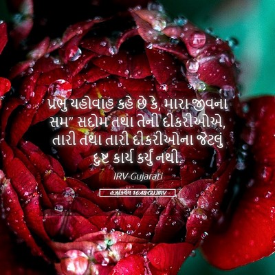 Picture 05 - હઝકિયેલ 16:48 GUJIRV - પ્રભુ યહોવાહ કહે - Bible Verse Picture