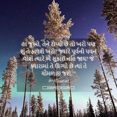 Picture 05 - હઝકિયેલ 17:10 GUJIRV - હા જુઓ, તેને રોપ્યો - Bible Verse Picture